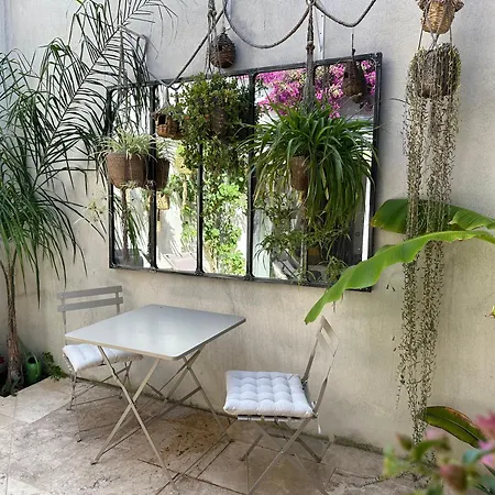 3 Etoiles Terrasse Ou Patio Intra-muros