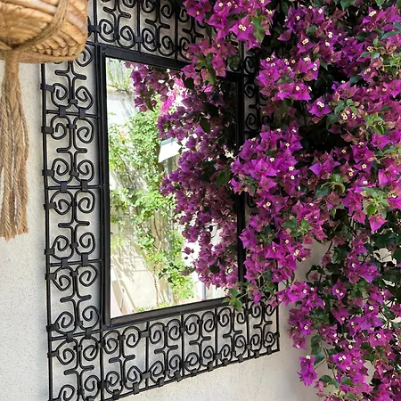 3 Etoiles Terrasse Ou Patio Intra-muros Apartamento