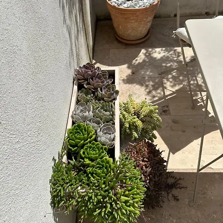3 Etoiles Terrasse Ou Patio Intra-muros * איגוס-מורטס
