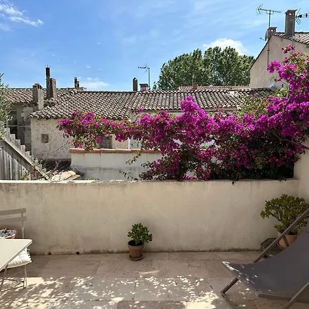3 Etoiles Terrasse Ou Patio Intra-muros Aigues-Mortes