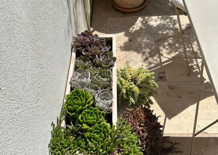 3 Etoiles Terrasse Ou Patio Intra-muros * Aigues-Mortes