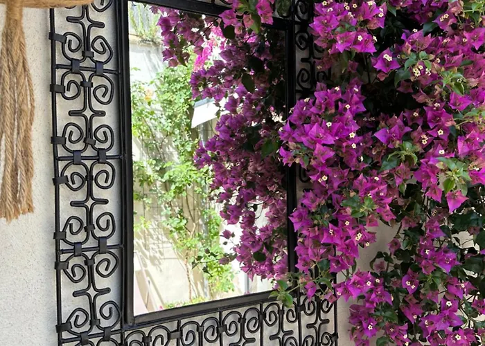 3 Etoiles Terrasse Ou Patio Intra-muros Appartement